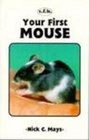 Your First Mouse