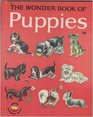 The wonder book of puppies