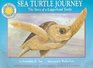 Sea Turtle Journey The Story of a Loggerhead Turtle