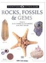 Rocks Fossils and Gems