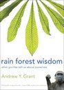 Rain Forest Wisdom What Gorillas Tell Us About Ourselves