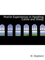 Prairie Experiences in Handling Cattle and Sheep