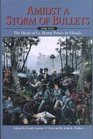 Amidst a Storm of Bullets: The Diary of Lt. Henry Prince in Florida, 1836-1842 (Contribution (Seminole Wars Historic Foundation), No. 1.)