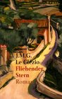 Fliehender Stern