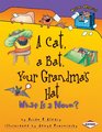 A Cat a Bat Your Grandma's Hat What is a Noun