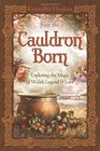 From the Cauldron Born Exploring the Magic of Welsh Legend  Lore