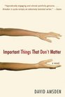 Important Things That Don't Matter : A Novel