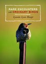 Rare Encounters with Ordinary Birds