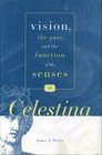 Vision the Gaze and the Function of the Senses in Celestina