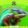 Chameleons (Unique Pets)