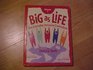 Big As Life Volume 1 The Everyday Inclusive Curriculum