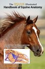 The EQUUS Ilustrated Handbook of Equine Anatomy Volume 2