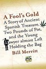 A Fool's Gold : A Story of Ancient Spanish Treasure, Two Pounds of Pot, and the Young Lawyer Almost Left Holding the Bag