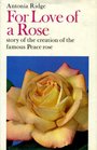 For Love of a Rose