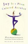 Joy Is a Plum Colored Acrobat 45 LifeAffirming Visualizations for Breast Cancer Treatment and Recovery