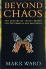 Beyond Chaos The Underlying Theory Behind Life the Universe and Everything