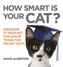 How Smart Is Your Cat