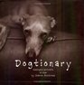 Dogtionary Meaningful Portraits of Dogs