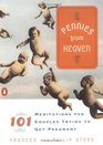 Pennies from Heaven  101 Meditations for Couples Trying to Get Pregnant