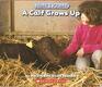 Now I Know  A Calf Grows Up
