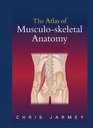 The Atlas of MusculoSkeletal Anatomy