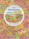 Bellamy's Changing World the Rockpool