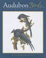 Audubon Birds 252 Prints from the Birds of America