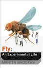 Fly An Experimental Life
