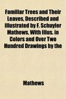 Familiar Trees and Their Leaves Described and Illustrated by F Schuyler Mathews With Illus in Colors and Over Two Hundred Drawings by the