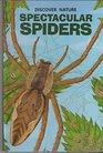 Discover Nature Spectacular Spiders