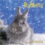 Rabbits 2010 Wall Calendar
