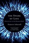 The Spark of Life Electricity in the Human Body