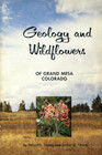 Geology and Wildflowers of Grand Mesa Colorado