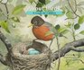About Birds A Guide for Children 2nd edition