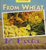 From Wheat to Pasta A Photo Essay