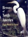 Herons of North America Their World in Focus