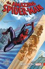 Amazing SpiderMan Worldwide Vol 8