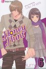 Honey  Hunt Vol 6