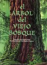 El Arbol Del Viejo Bosque/ The Tree in the Ancient Forest