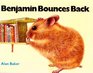 Benjamin Bounces Back