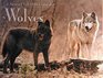 BN 1998 Wolves Calendar