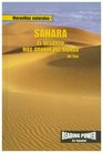 Sahara El Desierto Mas Grande Del Mundo/ the World's Largest Desert