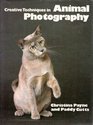 Creative Techniques in Animal Photography