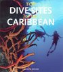 Top Dive Sites of the Caribbean