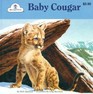 Baby Cougar