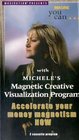 Michele's Magnetic Visualization Program