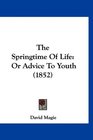 The Springtime Of Life Or Advice To Youth