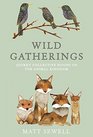 Wild Gatherings Quirky Collective Nouns of the Animal Kingdom