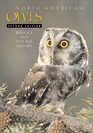 North American Owls Biology and Natural History