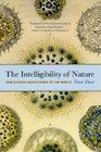 The Intelligibility of Nature How Science Makes Sense of the World